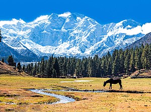 Naga Parbat Mountain